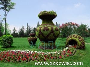 花瓶五色草造型